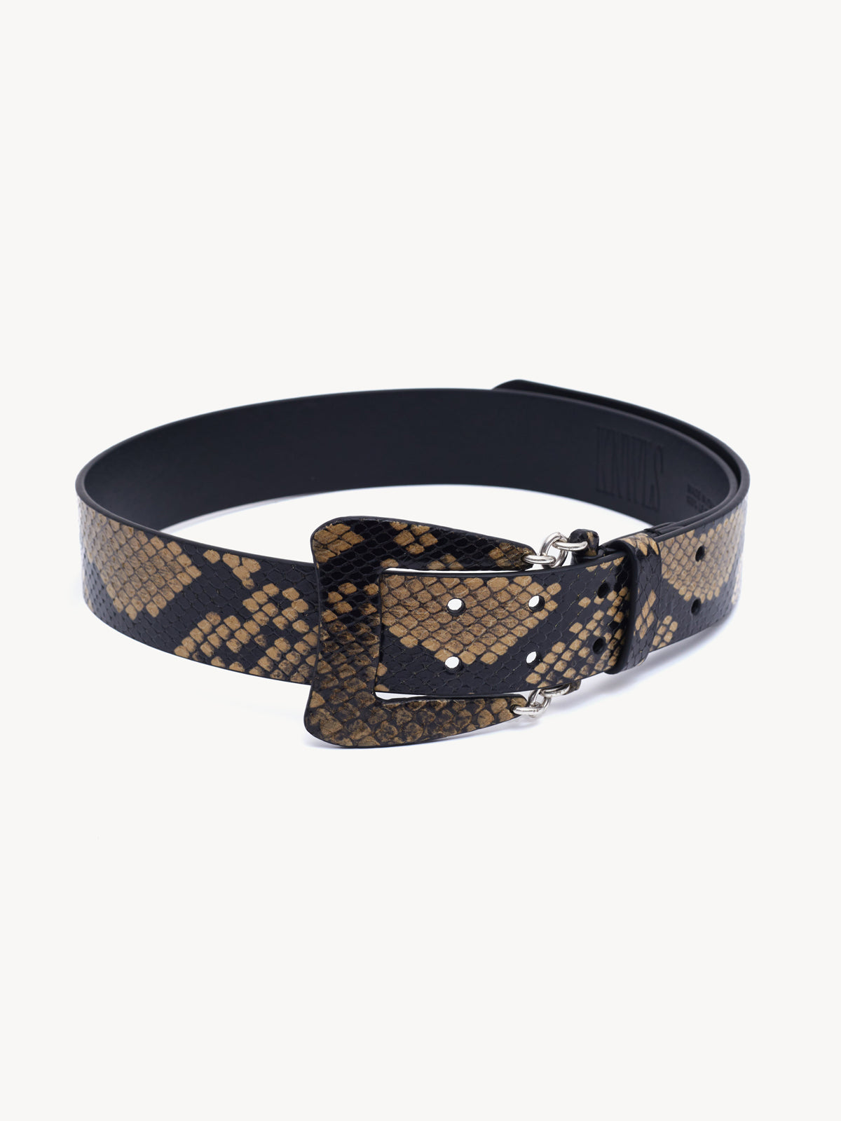 Hydra Belt Snake Biscuit