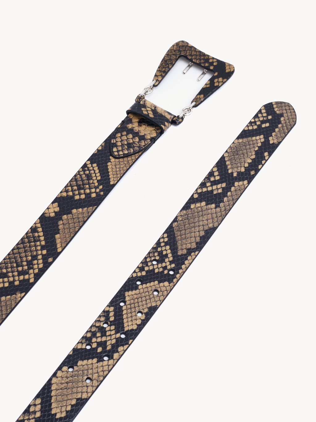 Hydra Belt Snake Biscuit