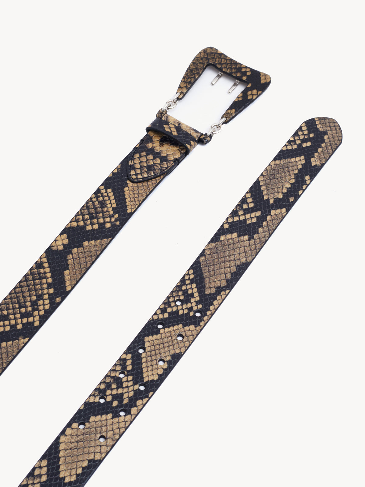 Hydra Belt Snake Biscuit